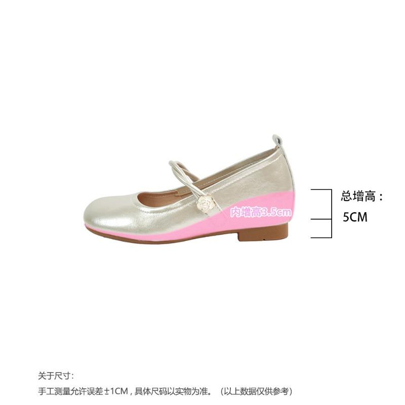 Inner Height-increasing Soft-soled Mary Jane Shoes Women's Summer New Silver High-end One-word Single Shoes