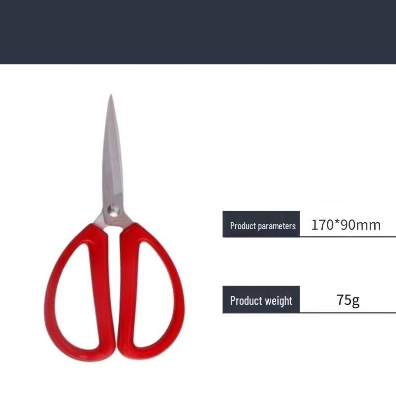 Stainless Steel Multi-purpose Scissors