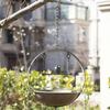 Wrought Iron Aged Green Bird Swing Feeder & Waterer