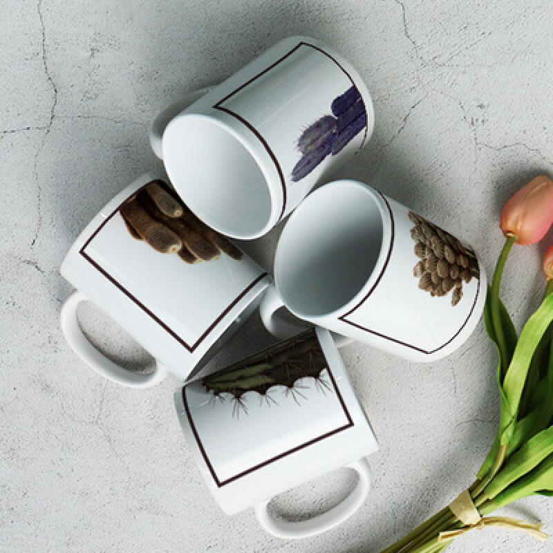 if004-Design Mug 4p-Cactus in a Frame