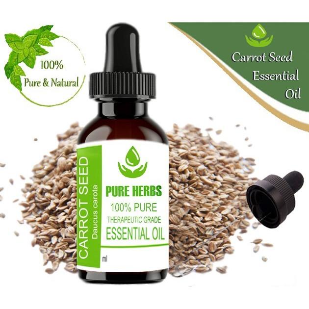Pure Herbs Carrot Seed 100% Pure & Natural Daucus Carota Essential Oil
