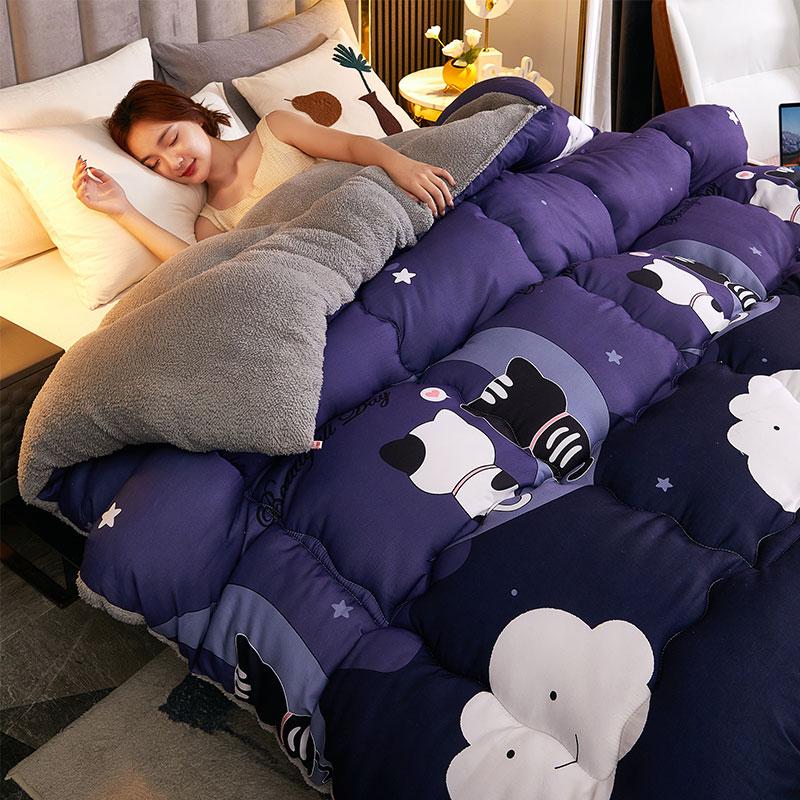 Winter 5Kg Lamb Velvet Quilt Dormitory Single Double Home Hotel Quilt Core 1.5M Thickened 1.8M Luxury Comforter Super Warm Quilt