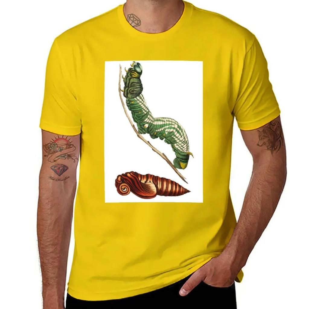 Sphinx Moth and Pupa T-Shirt Plain Sublime Sweat T Shirts for Men Cotton