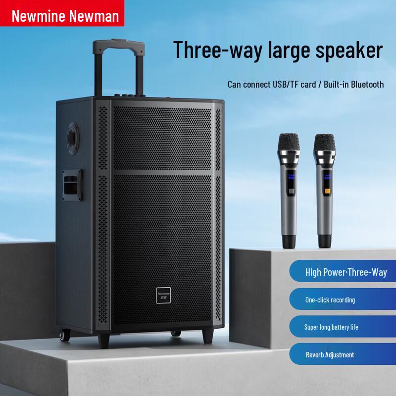 

Newmine N529 15-inch Portable Bluetooth Trolley Speaker