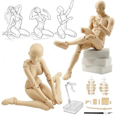CHALAN Zeichenpuppe, 30-gelenkige bewegliche Figur mit Ständer [Empfohlen von professionellen Manga-Künstlern] Ganzkörperpuppe, Modell der menschlichen Anatomie, Ma