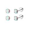 Stainless Steel Zircon Stud & Round Wire Earrings Set with Vacuum Electroplating Finish