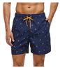 Summer Bathroom Shorts Men's Swimwear, Men's Beachwear, Surfing, Beach, Swimming, Sweatpants