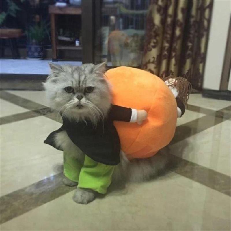 Funny Dolls Pumpkin Costume for Dogs Pet Halloween Holiday Accessories Photo Props Suitable Cats and Dogs