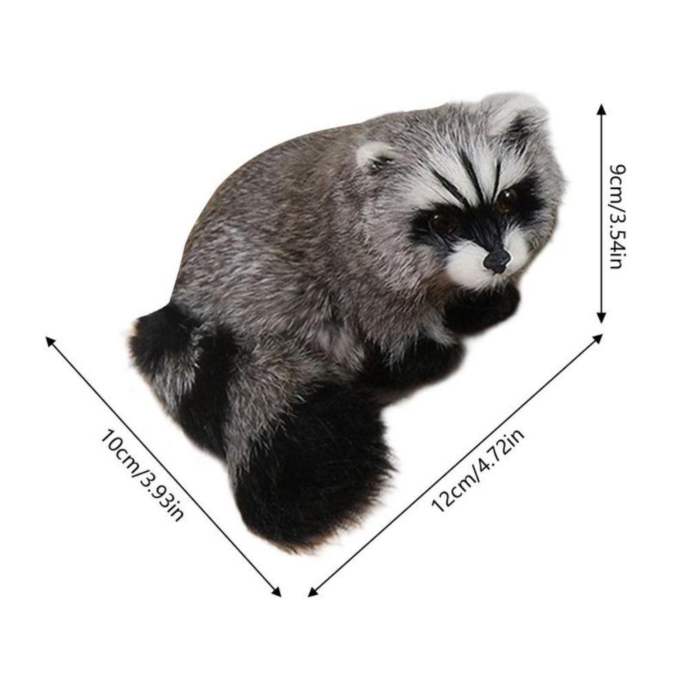Animal Model Simulation Raccoon Model Realistic Simulation 3D Raccoon Raccoon Figure  Photo Props