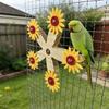 Wear Resistant Wooden Parrots Ferris Wheel With Bearings Bird Swing Toy  Avian Activities