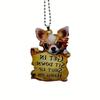 Turtle Acrylic Colorful Car Interior Pendant For Turtle Lovers Cute Cartoon Style