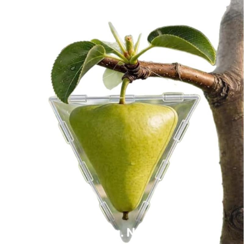 Mini Cube Triangle Fruit Shaping Mold Reusable Transparent Plastic Strawberry Tomato Growing Styling Tool Garden Diy