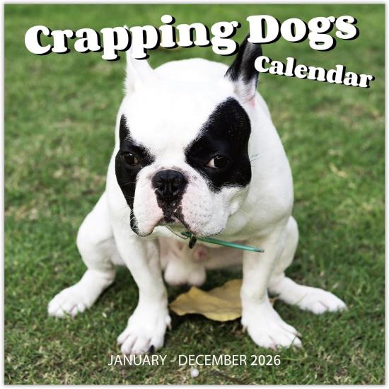 2026 Wall Calendar – 2026 Calendar, Jan 2026 - Dec 2026, 12 Monthly Pooping Dogs Calendar 2026, Funny Gag Gifts Dog Calendar, 11.8  x 23.6  (Open), 2026 Calendar