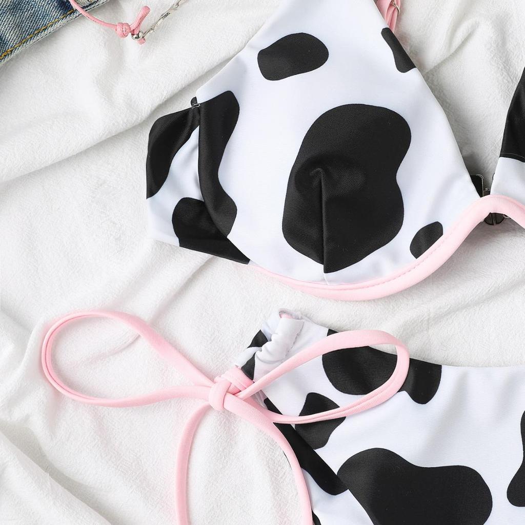 2024 European & American Style Print Underwire Sexy Bikini Swimsuit for Women