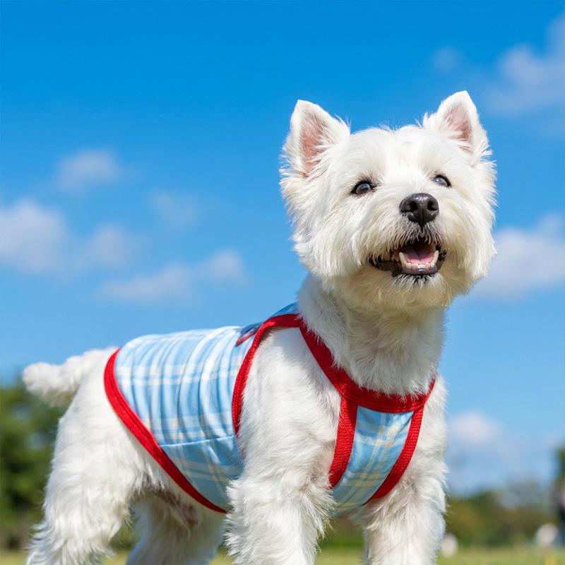 

Lightweight Plaid Cooling Dog Harness Vest Breathable Leash-Ready Sleeveless Top for Small Medium Dogs Spring Summer Daily Walks Outdoor Activities XXL: 7.5-10kg бонді синього кольору