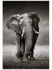 Wildlife Elephant Family Posters Canvas Painting Animal Father Mother Baby Love Wall Art Picture For Modern Room Home Decoration