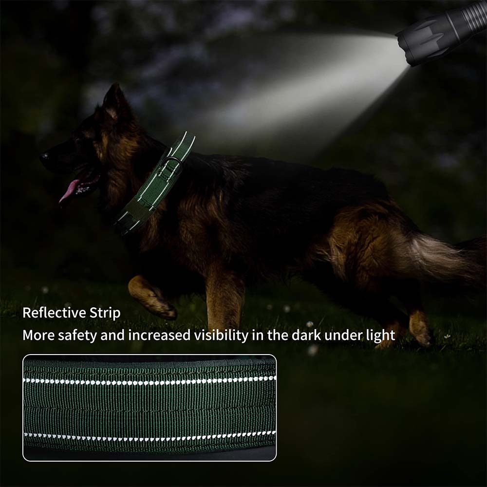 Collare tattico per cani resistente con design a doppia fibbia - Collare per cani di grado militare con maniglia per cani di taglia media e grande