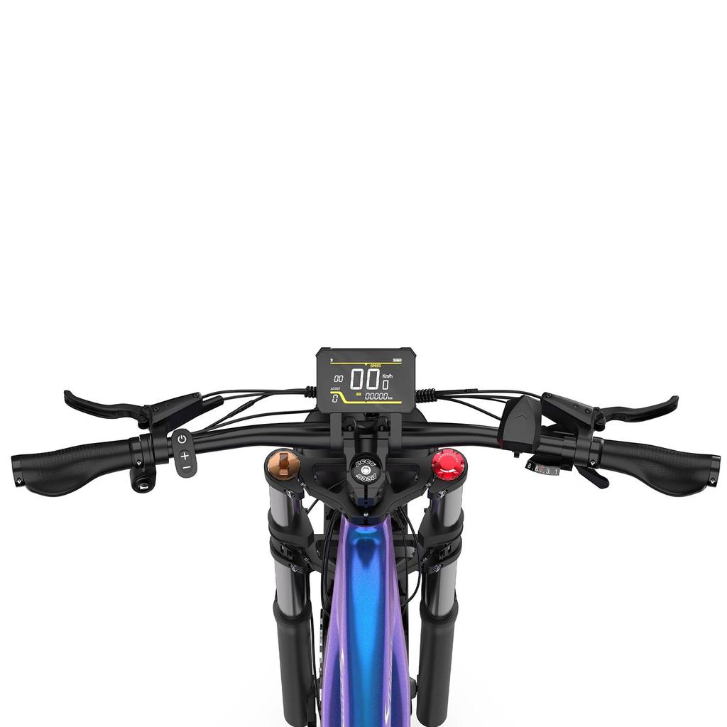 Electric Mountain Bike DUOTTS 26" 750W Motor Adult Ebike 48V 20AH Max Range 120Km Load 150Kg E26