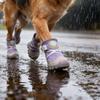 Comfortable Waterproof Dog Shoes Breathable Light Weight Dog Boots Anti-Slip Soles Dog Sneakers Dogs Accessories