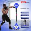Home Boxing Training Punching Bag Set