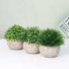 Simulation Plastic Potted Plant Artificial Grass Desktop Decoration for Living Room