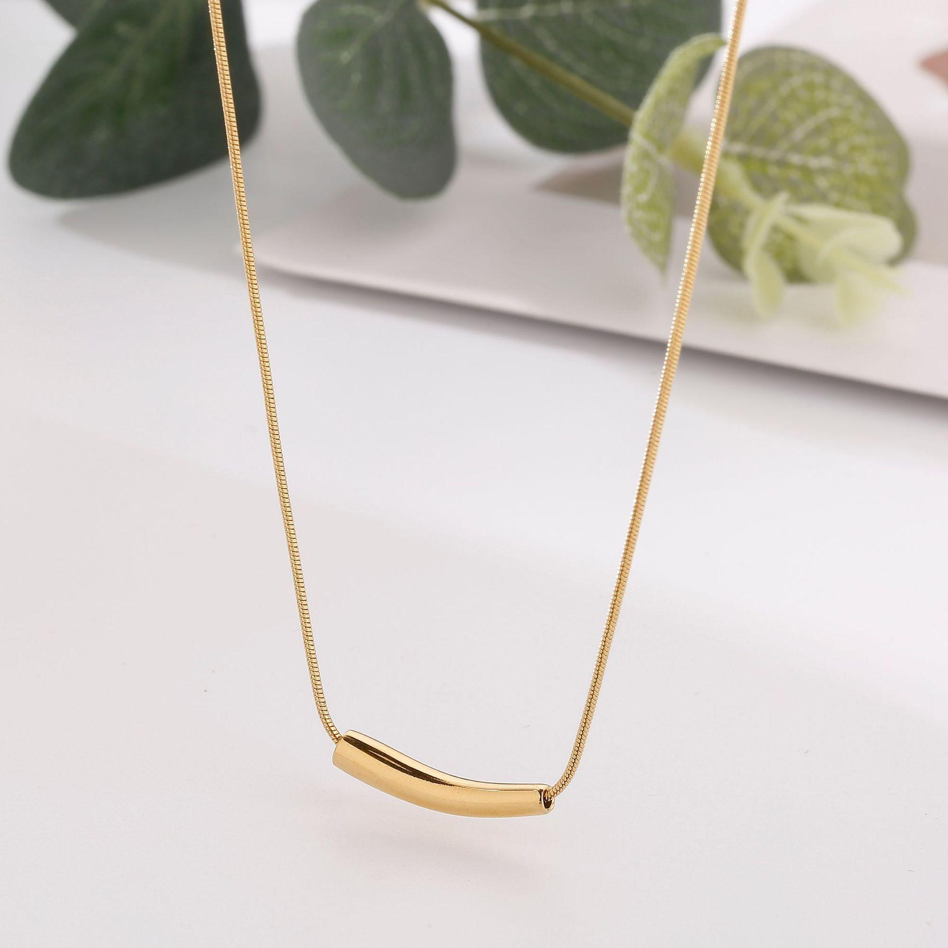 Minimal Versatile Niche Design Small Eggplant Pendant Geometric Titanium Steel 18K Gold Chic Necklace
