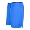 Tommy Hilfiger Mens Spell Swim Shorts