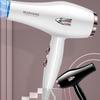 Hair Dryer Hair Salon Style Black And White High Power Consumption 220v 2200w