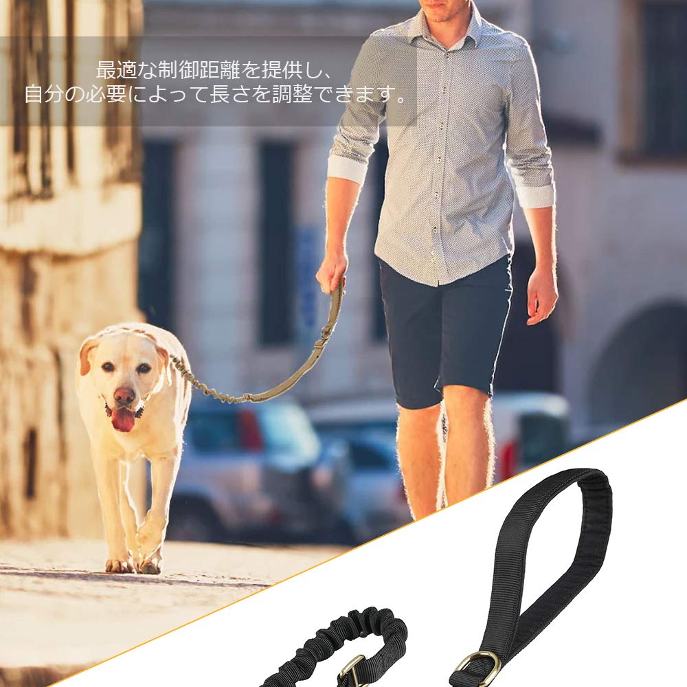 EXCELLENT ELITE SPANKER Nylon Dog Lead for Medium Shock Large 2 Handles Dogs, Absorption, Dogs, Training, Retractable, Walking, (Black)