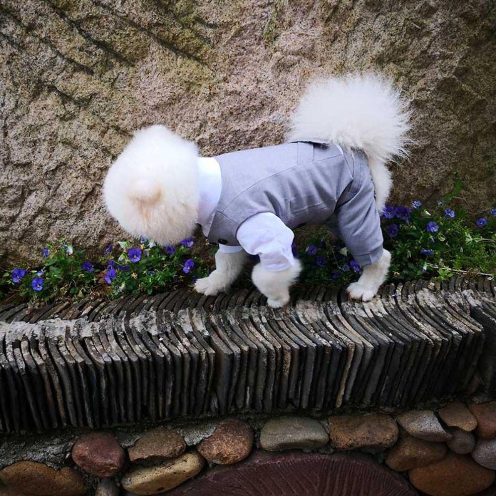 Washable Pet Formal Shirt Creative Puppy Costume Pet Supplies Dog Wedding Suit  For Small Dogs