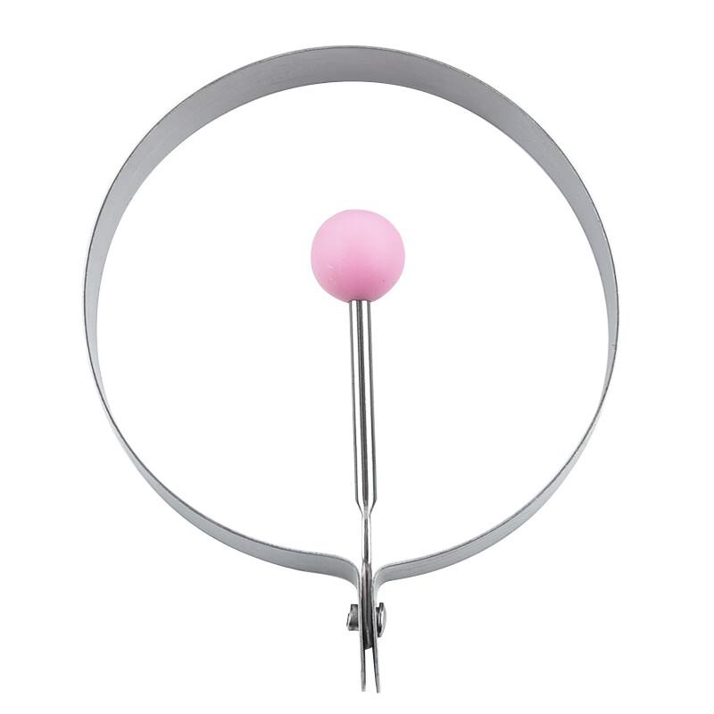 Diaruien Stainless Steel Egg Frying Molds
