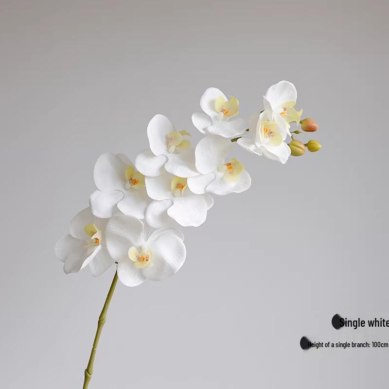 Große 9-Kopf Phalaenopsis Orchidee Künstliche Blume für Hotel- oder Wohnzimmerdekoration