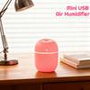 Mini USB Air Humidifier 220ML Portable Ultrasonic Humidifier with Colorful Night Light Quiet Operation for Home Office Bedroom