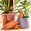6PCS Automatic Terracotta Automatic Waterers Cone Shaped Automatic Watering Device