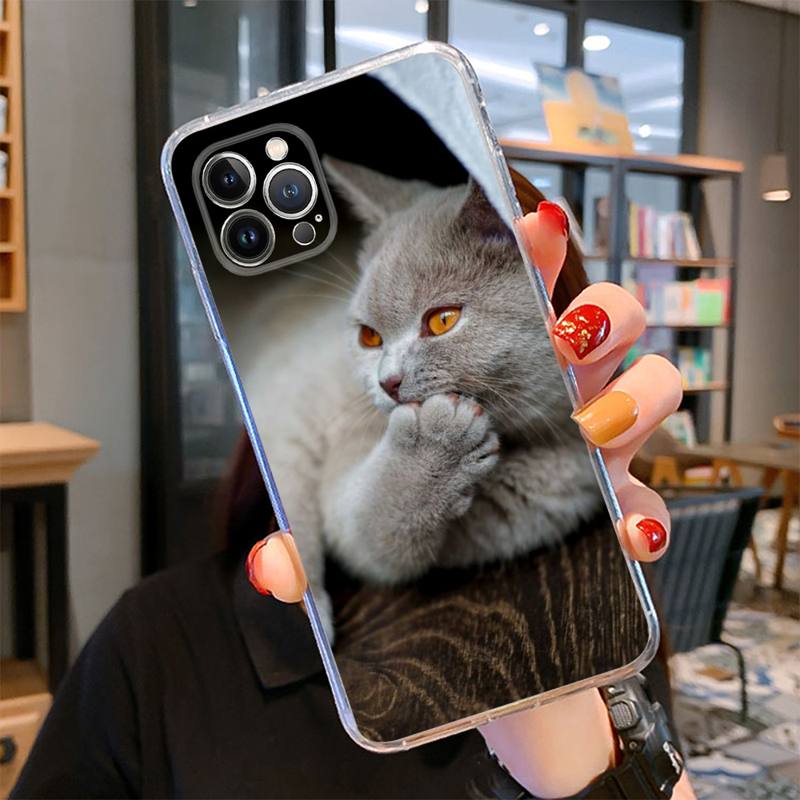 Britská krátkosrstá kočka Pouzdro na telefon pro iPhone 14 13 12 11 Pro Max XS X XR SE 2020 6 7 8 Plus Mini průhledné pouzdro