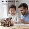 ROBOTIME 3D Wooden Electric Model Coaster with and Roller Coaster Design for Craft Brain and Educational Toy for Adults and Kids Ages DIY Decorative
