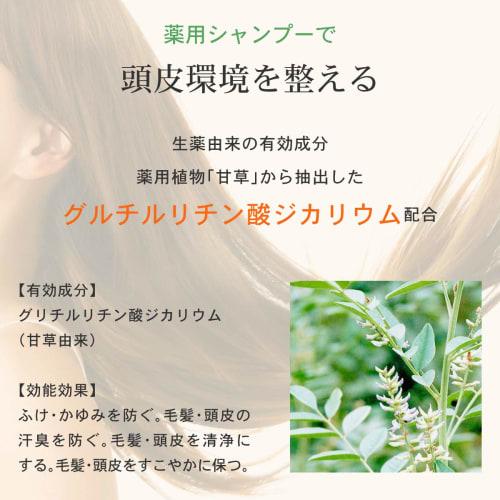 Afc  shampoo refreshing citrus trial 150ml amino acid medicated non-silicone citrus quasi-drug