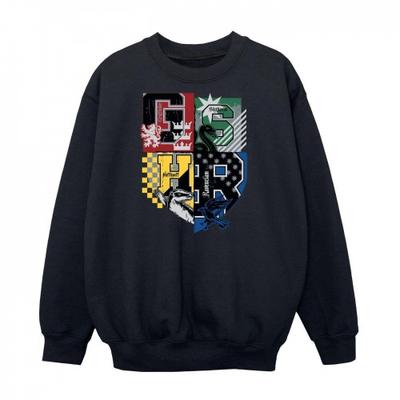 Boys Hogwarts Houses Sweatshirt