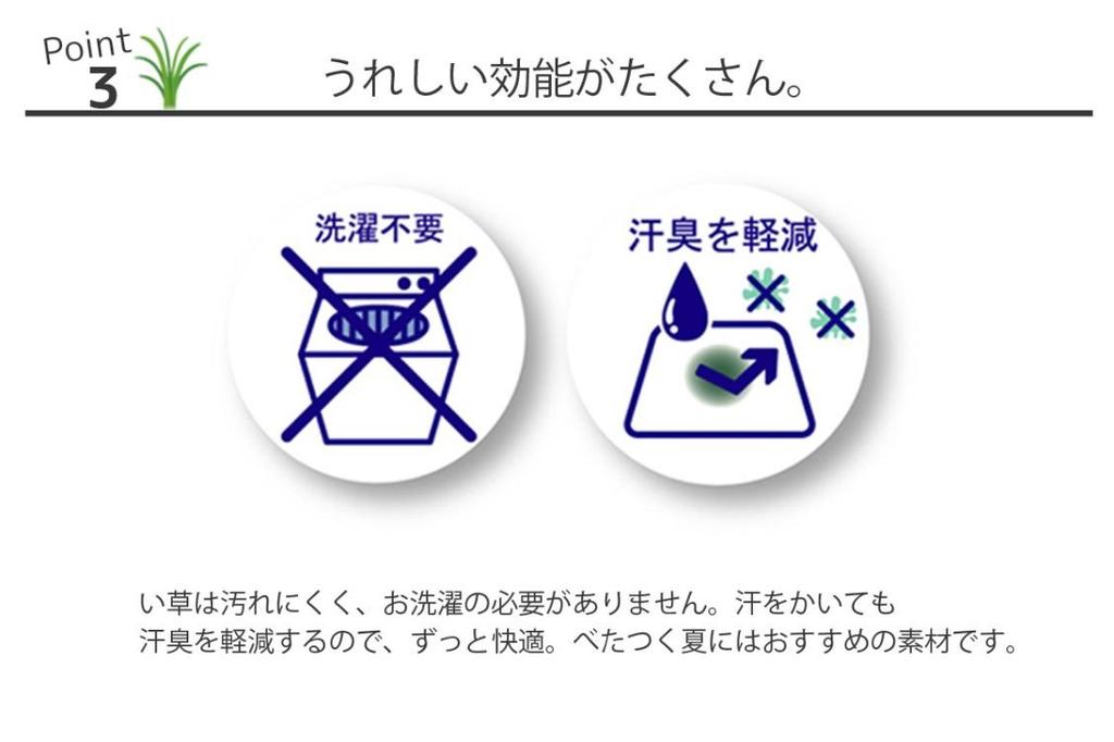 IKEHIKO Igusa Pillow "Mile" Concave Flat Pillow, Approx. 50 X 30 Cm, Made In Japan #3644809