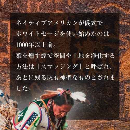 Pesticide-Free White Sage (Cluster) with Branches, Approximately 100g, from California, for Purification and Incense