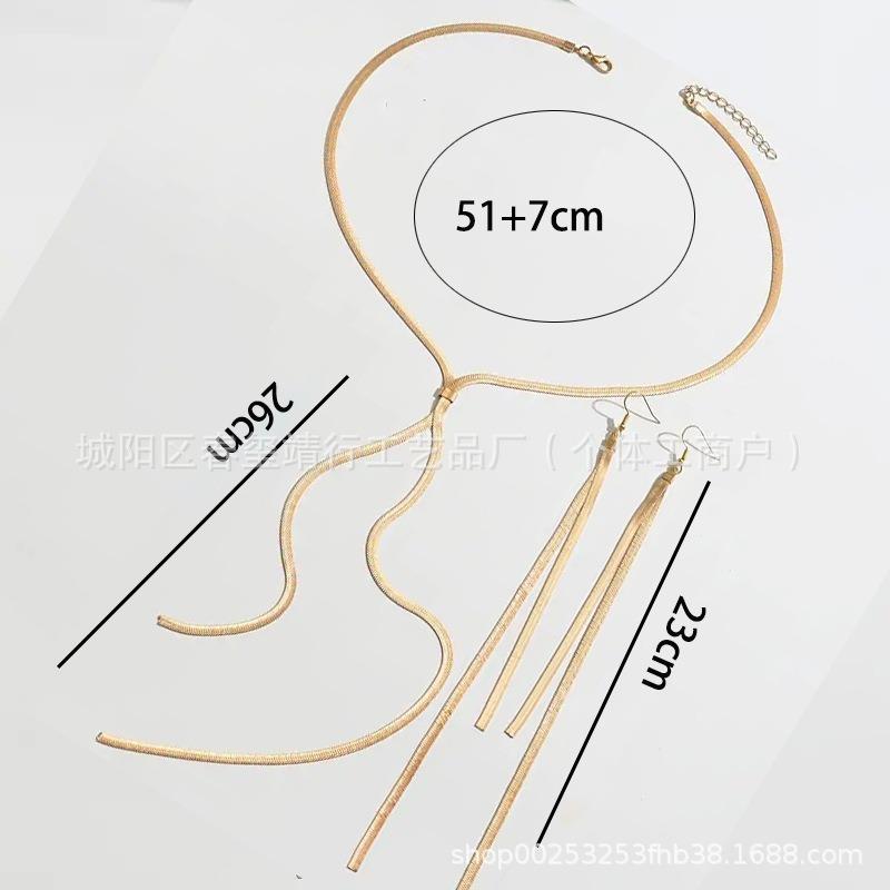 Accessories Hip Hop Simple Snake Bone Chain Collarbone Chain Chocker Niche Metal Chain Necklace