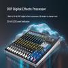 FionTu Professional Conference Analog Audio Mixer (CN Version)