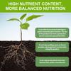 AllPurpose Plant Vitalizers 50ml Plant Nutrients Rootings Solution Plant Food AllPurpose Concentrated Fertilizers