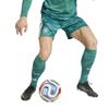 Adidas Germany 26/27 Replica Goalkeeper Shorts Green