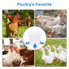 5Pcs Automatic Poultry Drinker Bowl Chicken Bird Water Cups Duck Drinking Machine Hanging Drinking Bowls Water Dispenser