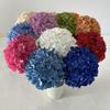 Brushed Fabric Single Stem Dream Chen Hydrangea for Wedding Decorations & Photography Prop.