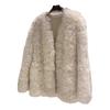 Autumn and Winter New Fur Integrated Lamb Plush Imitation Fur Coat Women's Coat Short Curly Top