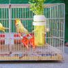 Bird Cage Feeder for Vegetable Feeders with Water-Storage Design for Parrots Keep Greens Fresh Pet Bird Food Container