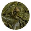 Premium Taiwan Milk Oolong Tea Jinxuan Alishan High Mountain Loose 250g