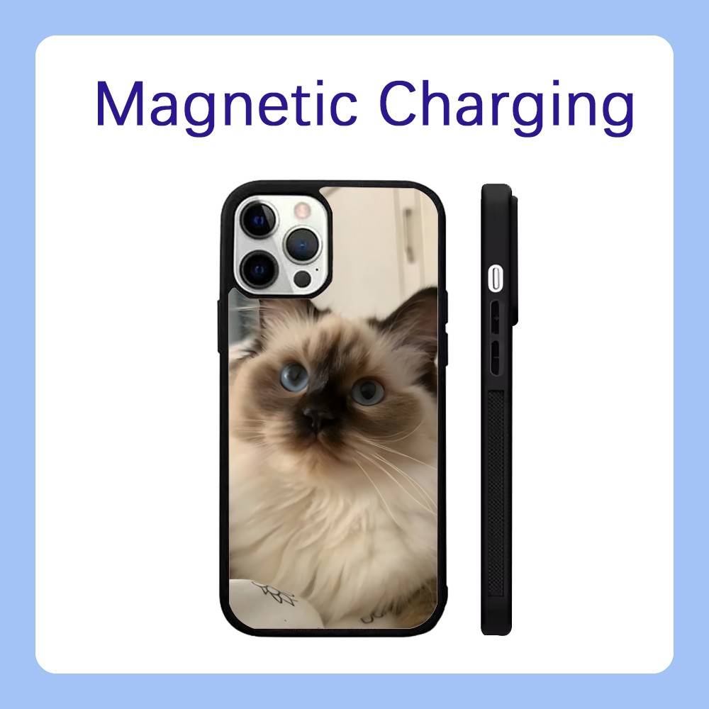 

Ragdoll Kitten Cat Phone Case For iPhone 16,15,14,13,12,11,Pro,Max,Plus,Mini,SE Magsafe Magnetic Wireless Charging iPhone12mini
